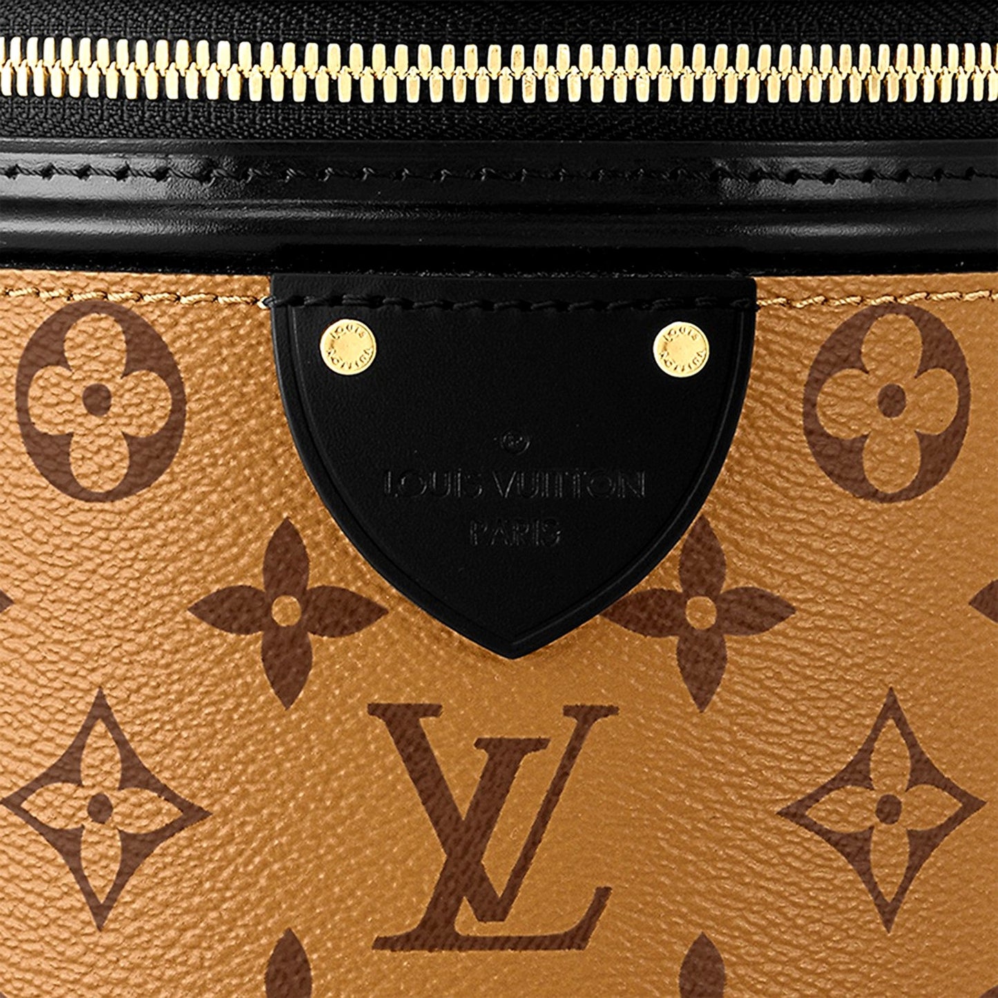 Louis Vuitton Cannes Reverse Monogram Black and Brown Bucket Bag