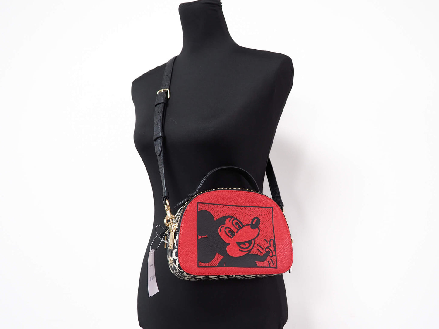 Coach (C6977) Mickey Mouse X Keith Haring Serena Pebble Leather Satchel Handbag